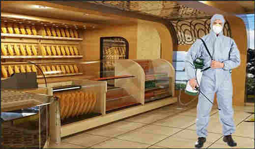 Fırın İlaçlama - Yalova Böcek İlaçlama