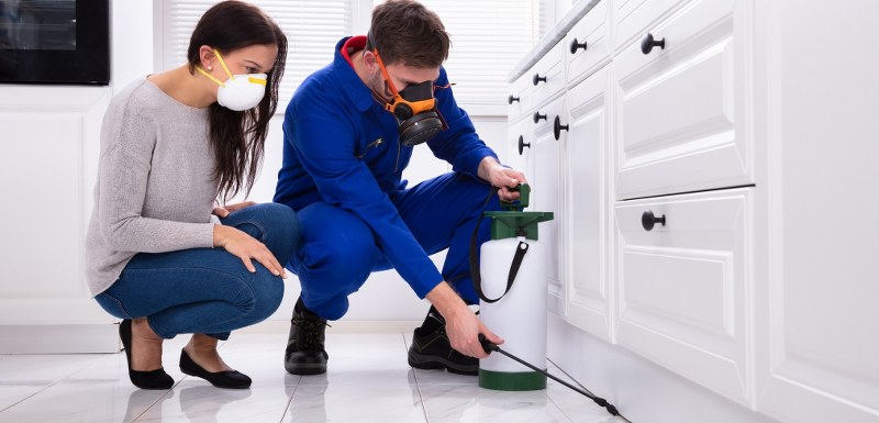 Yalova İlaçlama Fiyatları 2022