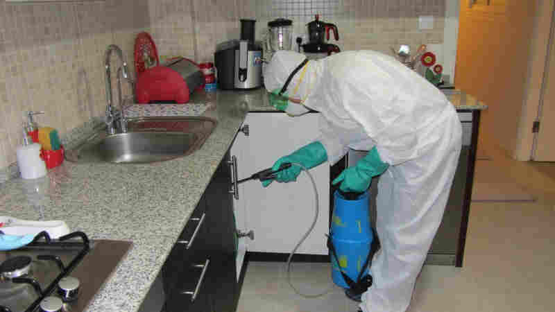 Ev ilaçlama - Yalova Böcek İlaçlama