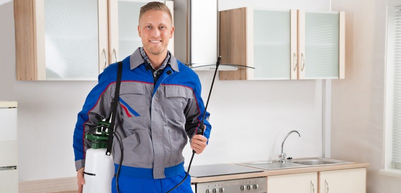 Güvenilir Böcek İlaçlama Yalova 2022